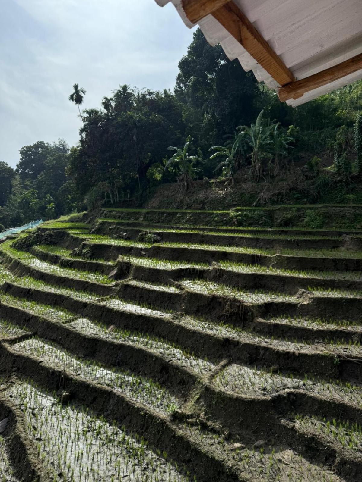 Villa Kingdom Of Rustic Ella Camera foto