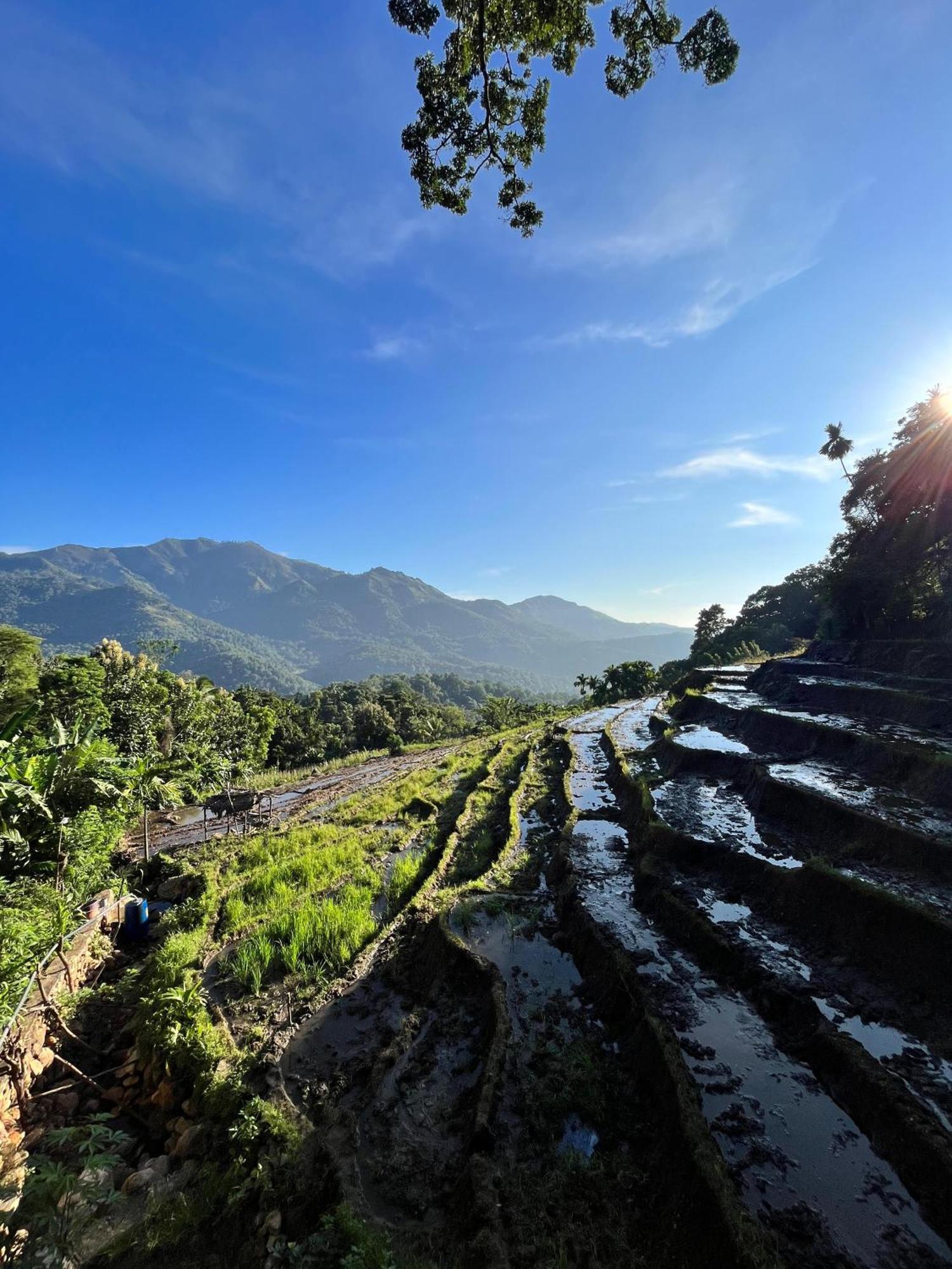 Villa Kingdom Of Rustic Ella Camera foto