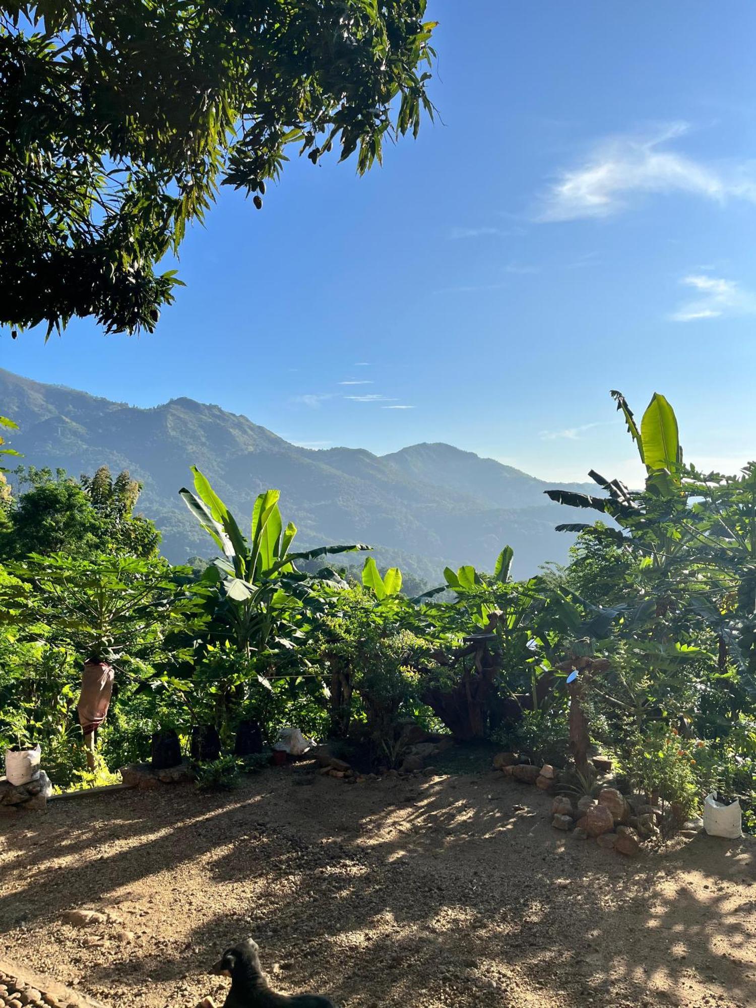 Villa Kingdom Of Rustic Ella Camera foto